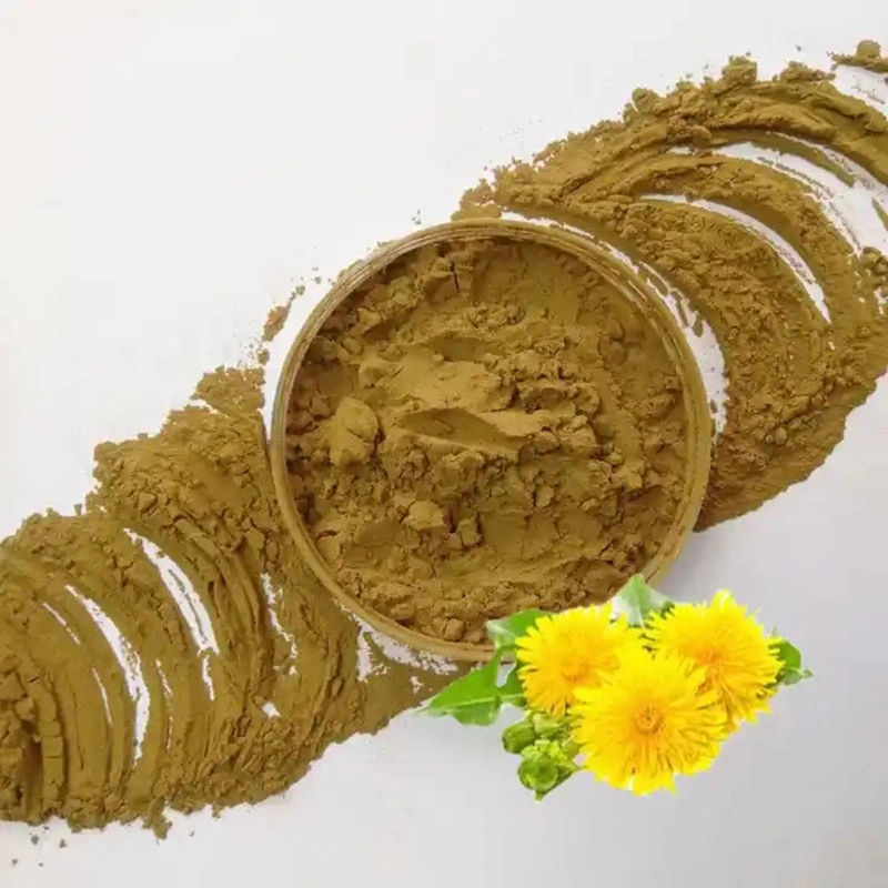 Wholesale/Supplier Chrysanthemum Powder Dry Flower Tea Water Soluble 100% Natural Plant Extraction