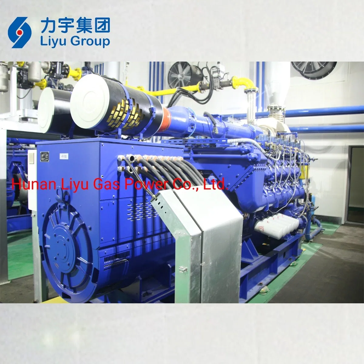 Biomass Gas Low Voltage Generator Set / Generating Set/ Gas Power Genset Ultra Silent