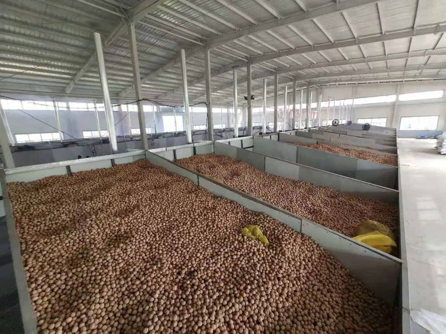 Xinjiang 185 Walnuts Peeling Export and Import Buyers Wholesale/Supplier