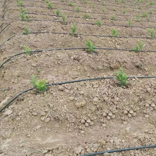 Landwirtschaft Irrigaiton 16mm PVC Bewässerung Bewässerung Rohrverbindung Farm System