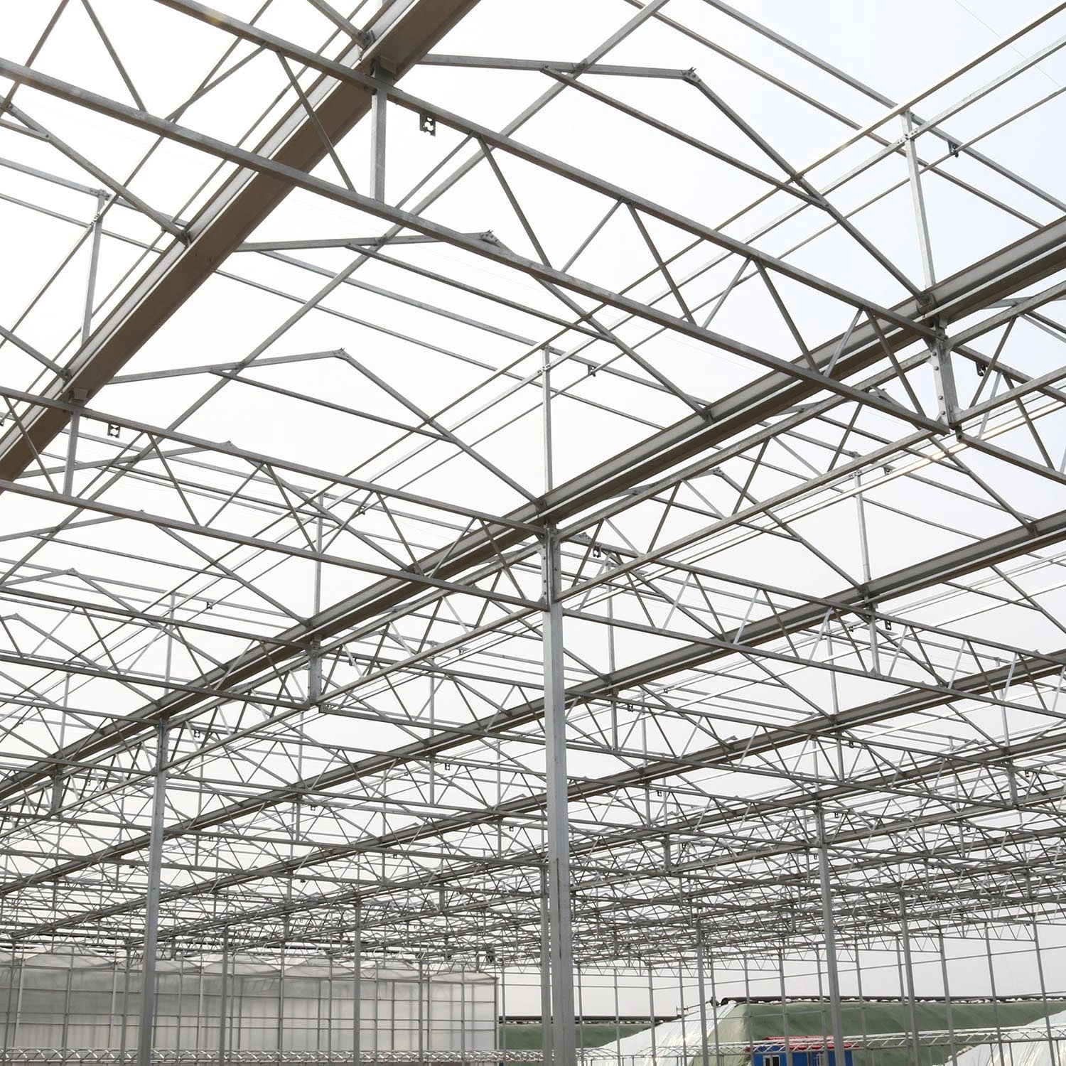 500m2 Multi-Span Venlo Type Glass Farm Agricultural Greenhouse