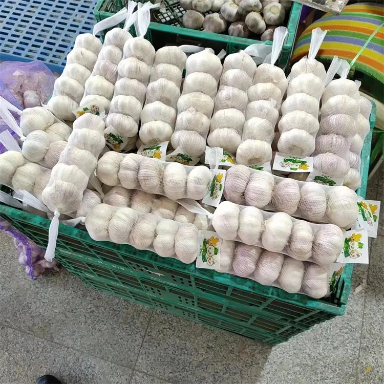 Hot Sale China New Crop Fresh Garlic Super White Garlic