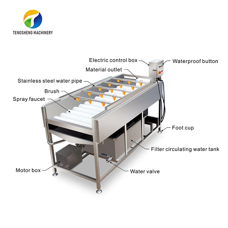 Industrial Stainless Steel Vegetable and Fruit Brush Cleaning Machine Production Line