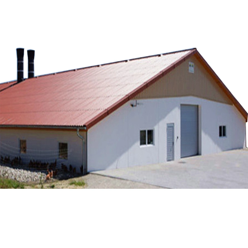 Cheap Steel Structure Poultry Farm in China Poultry Equipment Chicken Farms