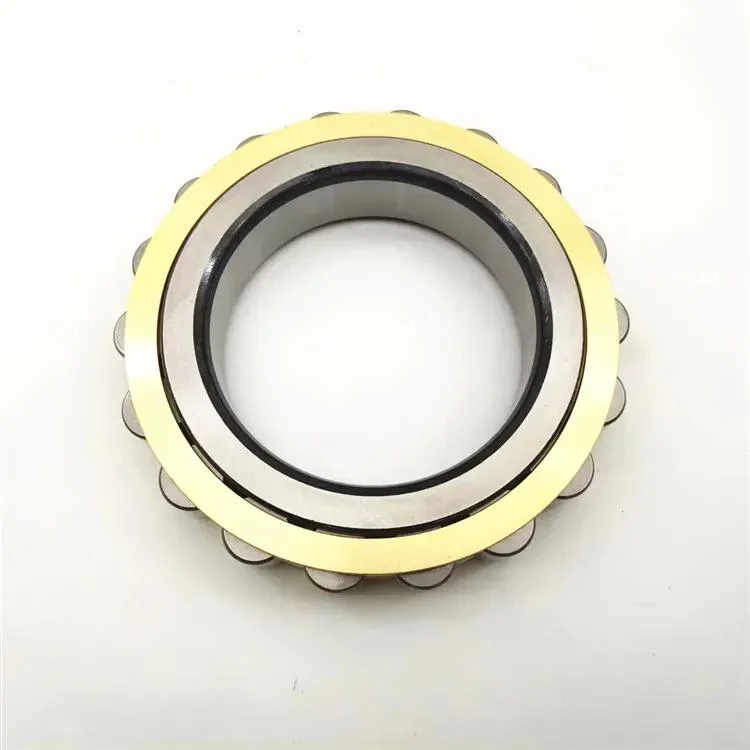 Rn219 Bearing Single Row Cylindrical Roller Bearing Without Outer Rings Special Used for Reducer