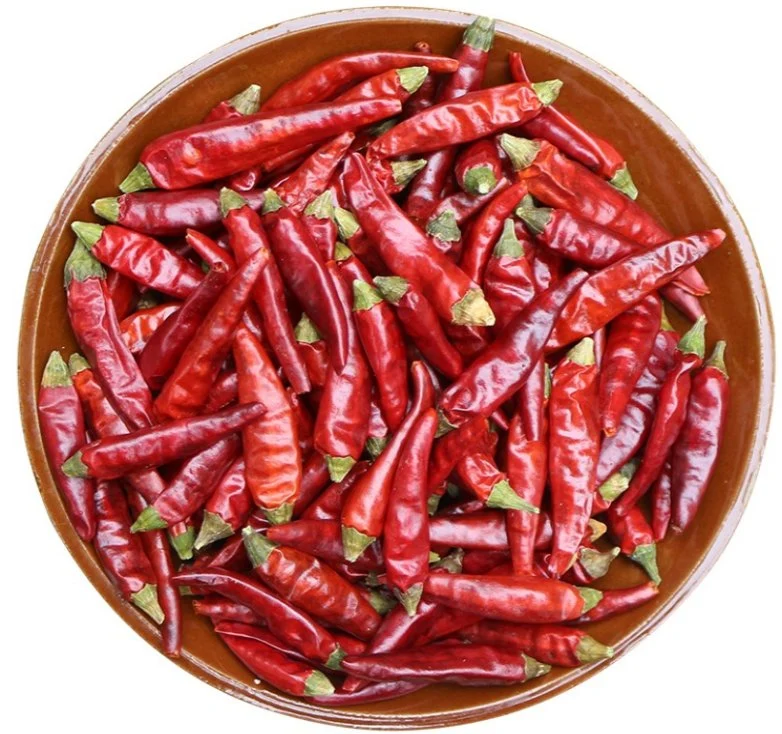 Slimming Cream Hot Chili Red Pepper