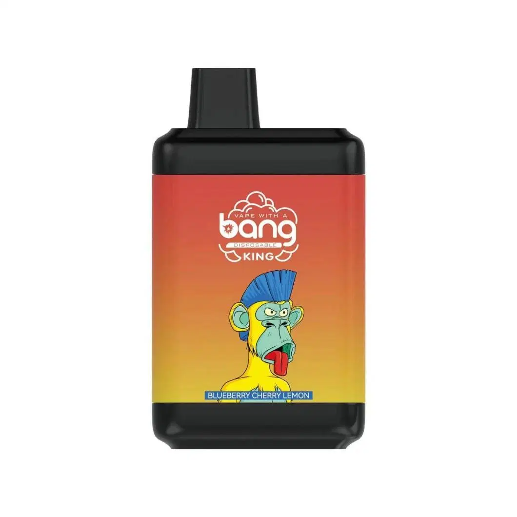 Bang 8000 Puff DIY Zbood Innovar Fit Pod 3500/4000/4500/5000/5100 Nicotine Free Vozol Mini Pod Disposable/Chargeable Vape