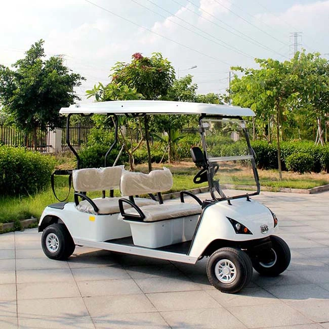 Professional Transportation Electric Mini Vehicle Lithium Battery Golf Cart (DG-C4)