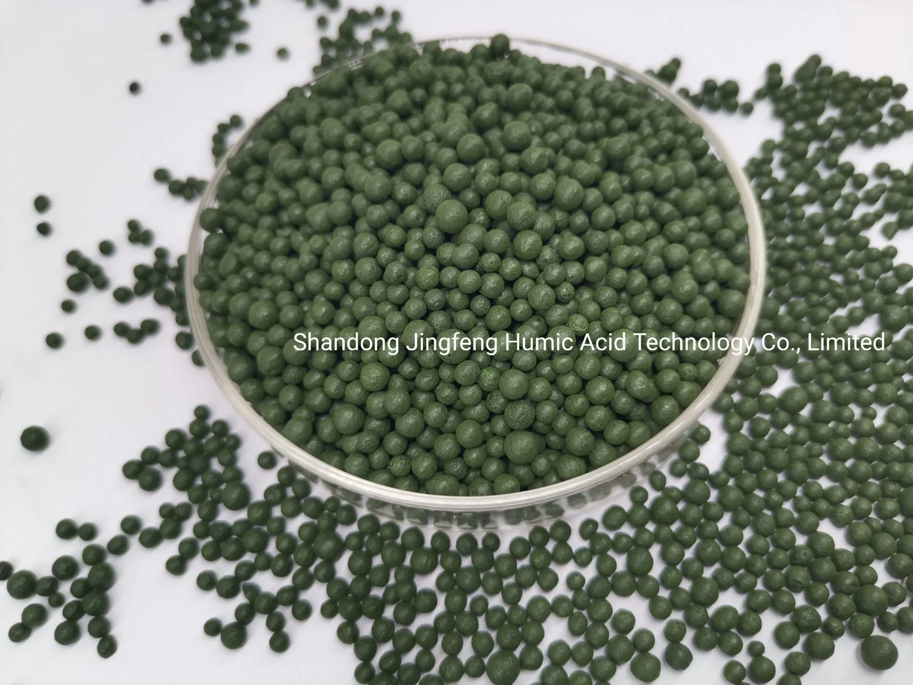 Granular Agrochemical Organic Fertilizer Amino Acid Compound Humic Acid Agriculture Use Balck Shiny Granule