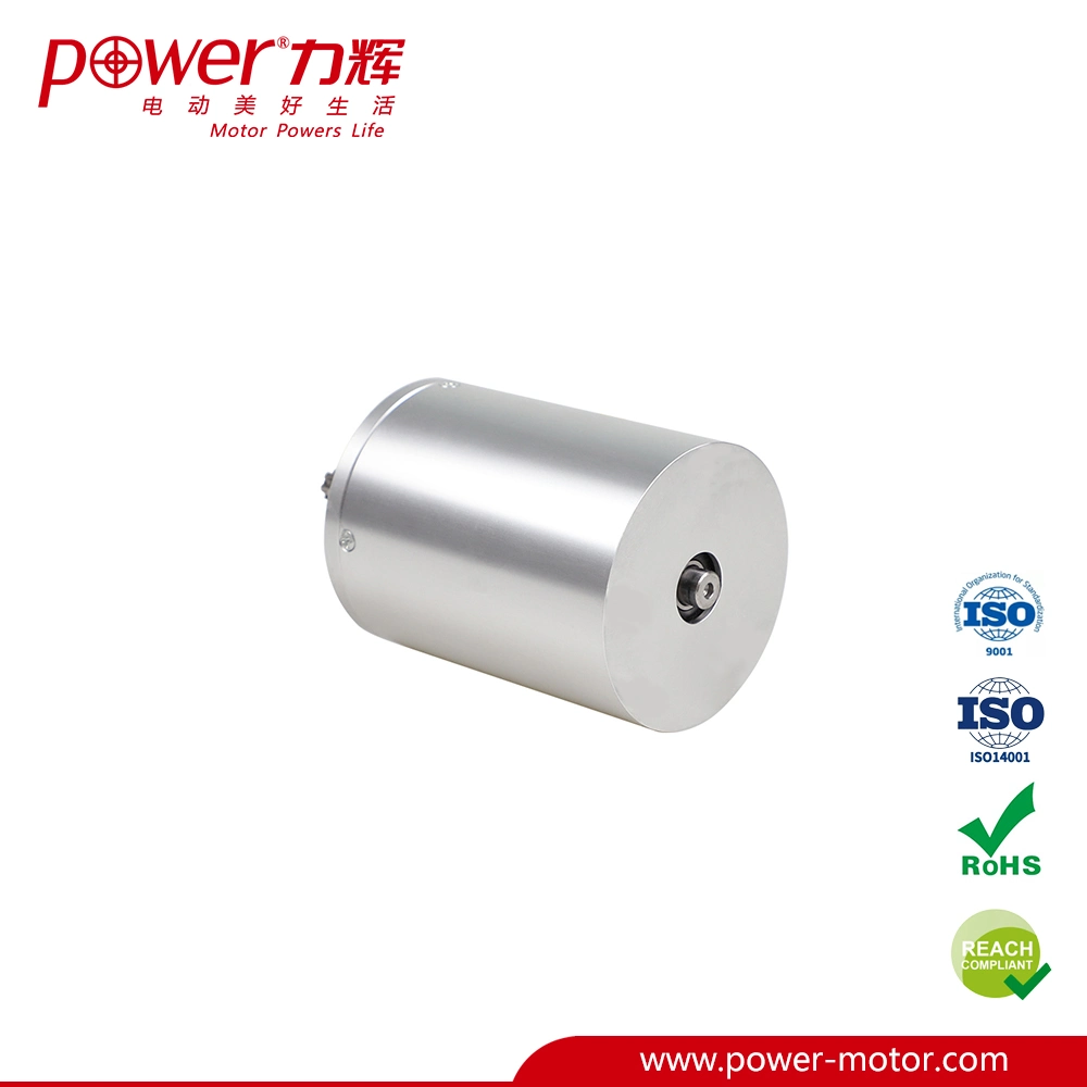 36V High Torque Electrirc Brushless DC Motor Smart Home Door System