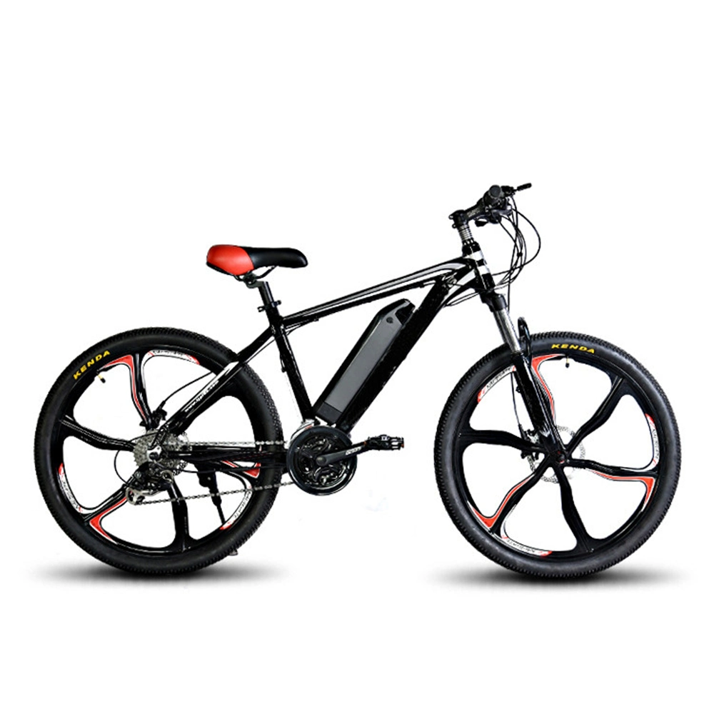 Wholesale/Supplier China 2020 Hot Sale 48V 1000 Watt Mountain E Bike Electric Bicycle