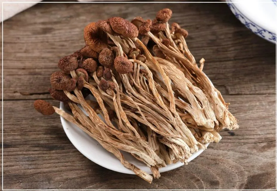 China Manufacture Organic Dried Agrocybe Cylindracea Dried Tea Tree Mushroom