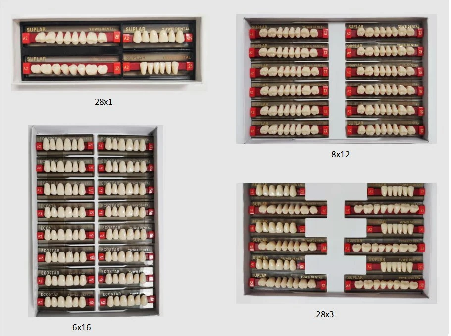Acrylic Denture Teeth Synthetic Artificial Resin Teeth