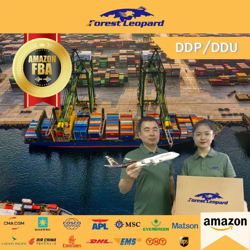 Cheap DDP Sea Shipping Best Freight Forwarders From China to Amazon Fba England, Germany, France