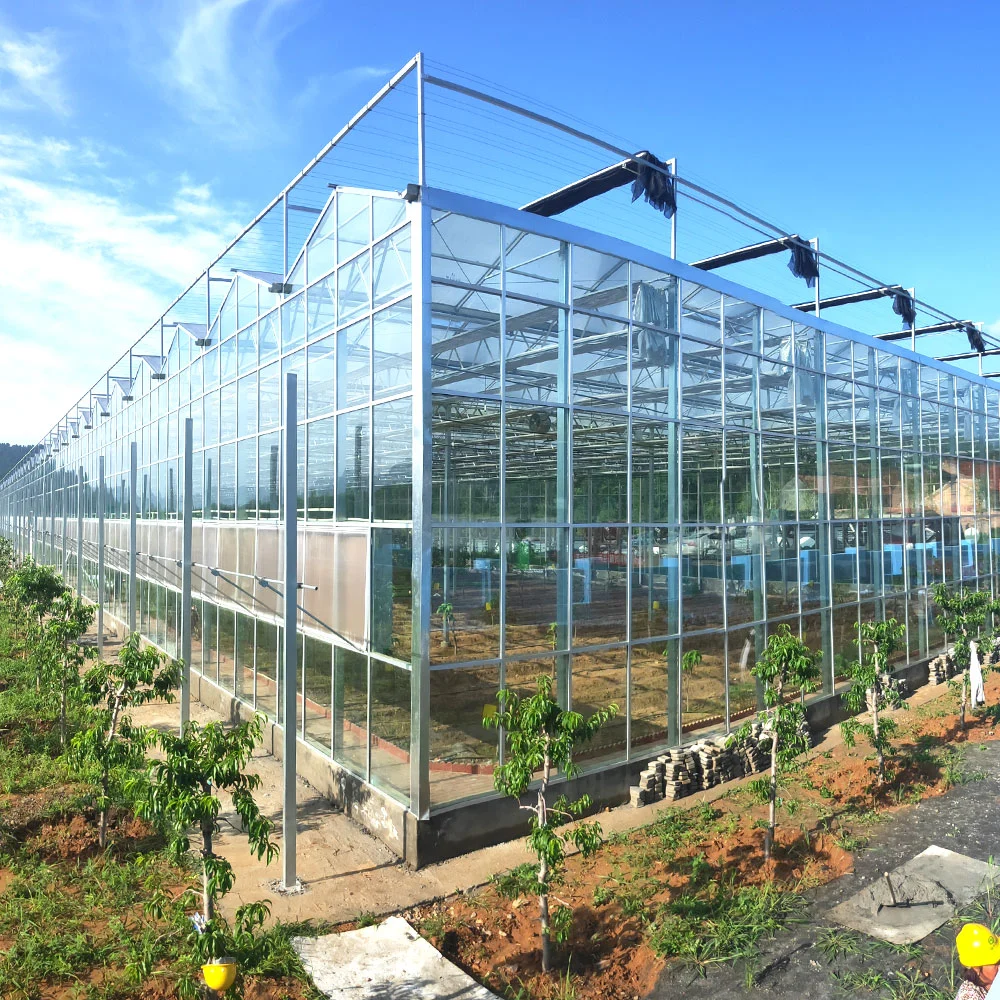 Factory Supply High Intelligent Transparent Single/Double Glass Greenhouse for Garden Vegetable/Flower/Hydroponics Cooling Heating Fan