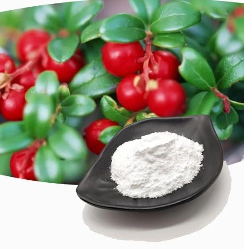 أوكازيون ساخن CAS 84380-01-8 99.9% Pure Alpha Arbutin Powder Factory السعر