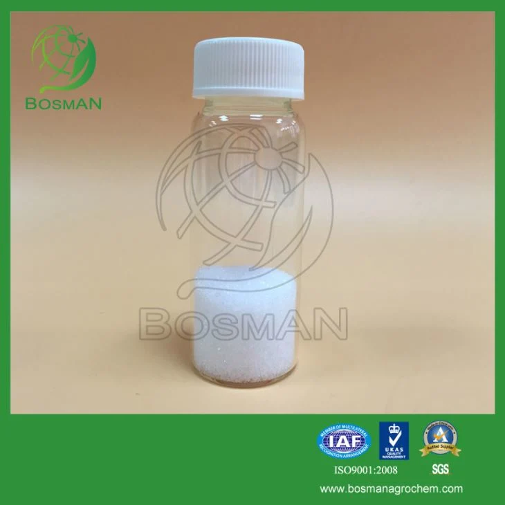 Hot Selling Insecticide Cyromazine 98% TC