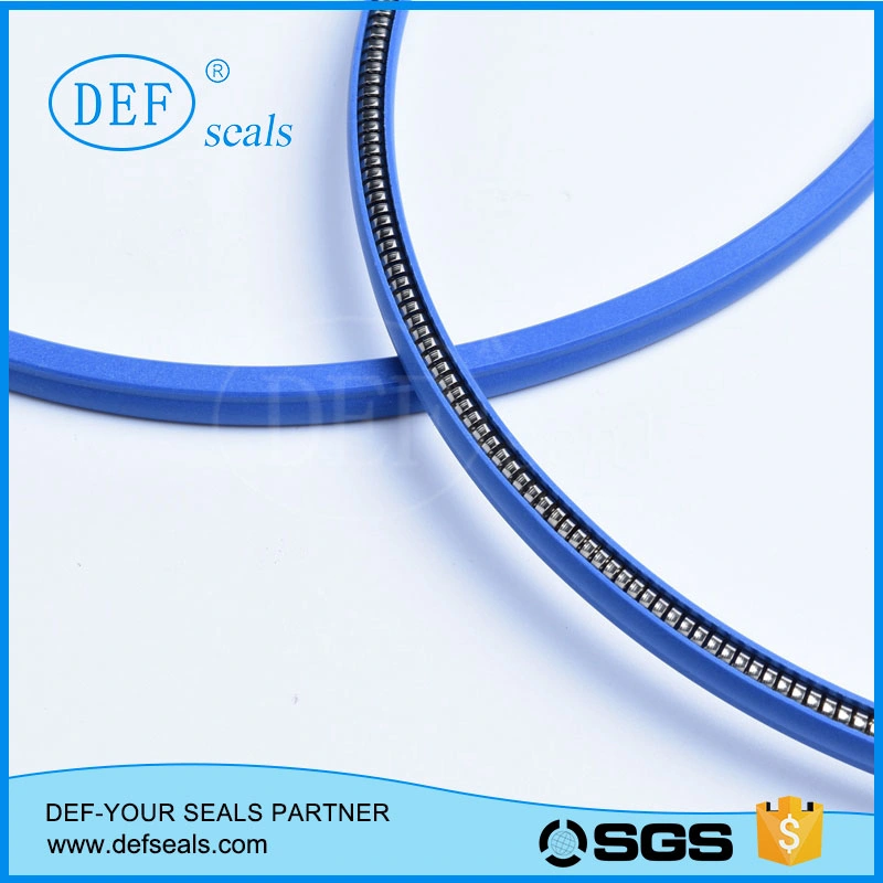 PTFE Spring Energized Seal for Food, Beverage, Medical, Pump, Hydraulic