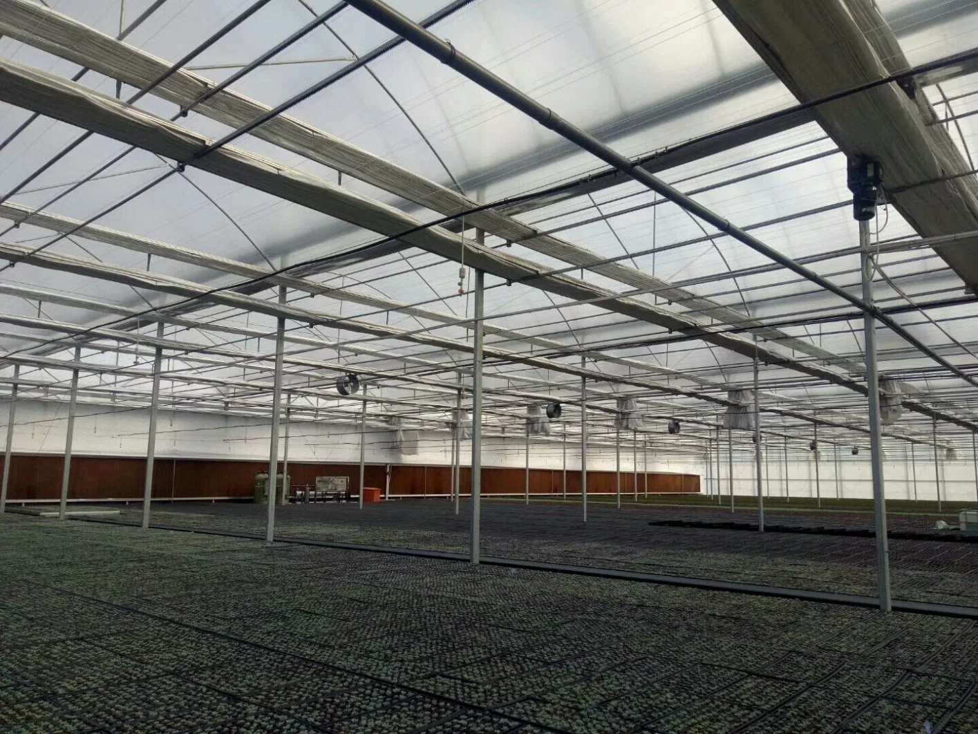 Polycarbonate Multi-Span Greenhouse for Vegetable and Commercial Greenhouse and Kit