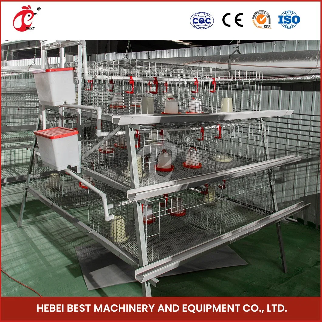 Bestchickencage Mayorista/Proveedor China proveedores de los precios de las jaulas de pollo un marco de las jaulas de pollos automático de la luz de Alta Calidad Material de acero de cooperativas de pequeños animales