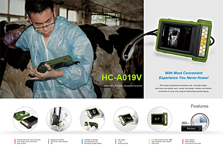 VET-A019V High quality/High cost performance Medical Machine Full Digital Veterinary Ultrasound Scanner