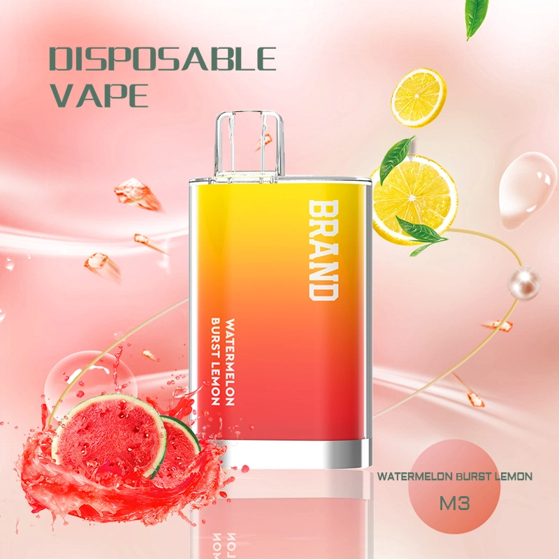 New Disposable/Chargeable E Cig Electronic Cigarette Smoking System 2ml 600 Puff Vaporizer Wholesale/Supplier Disposable/Chargeable Vape