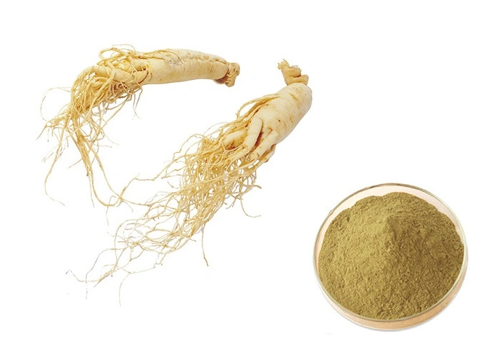Experience The Health Benefits of Panax Ginseng C. a Mey with World-Way Biotech's Extract