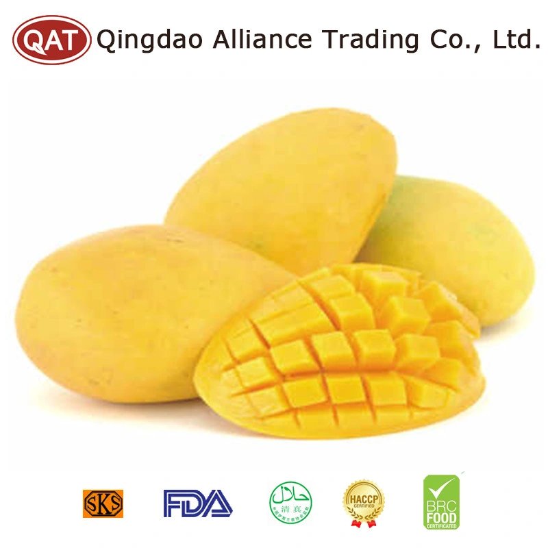 100% Natural Organic IQF Top Quality Fruits Frozen Diced Mango for Exporting