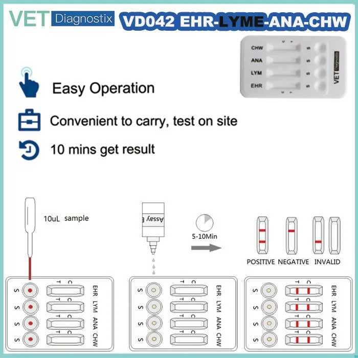 Пружинное стопорное собак 4dx проверку Ehrlichia / Lyme / Anaplasma / Heartworm Комбинированные испытания