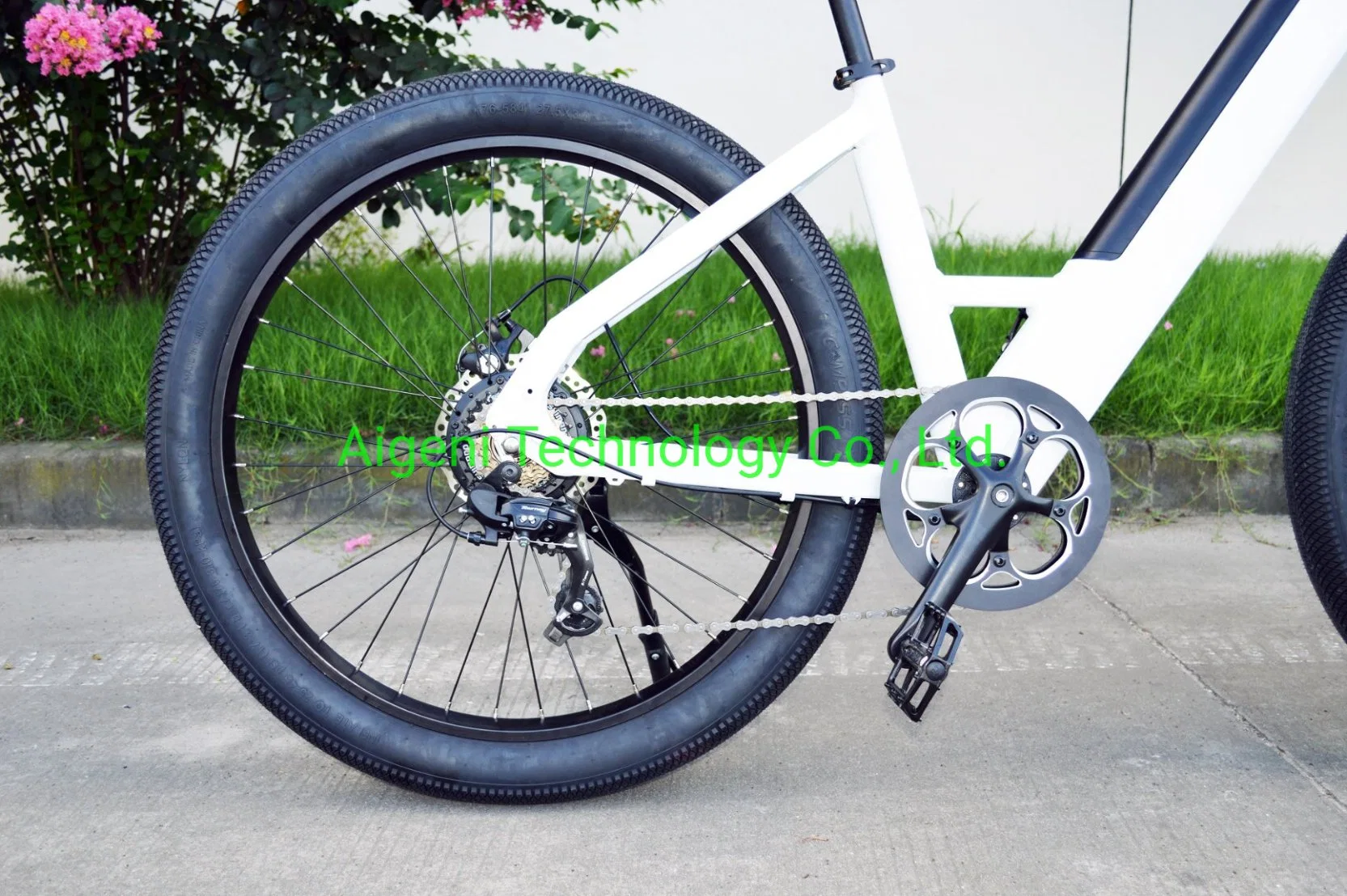 2021 Step Bike for Us Market Supermarket Electric Bike