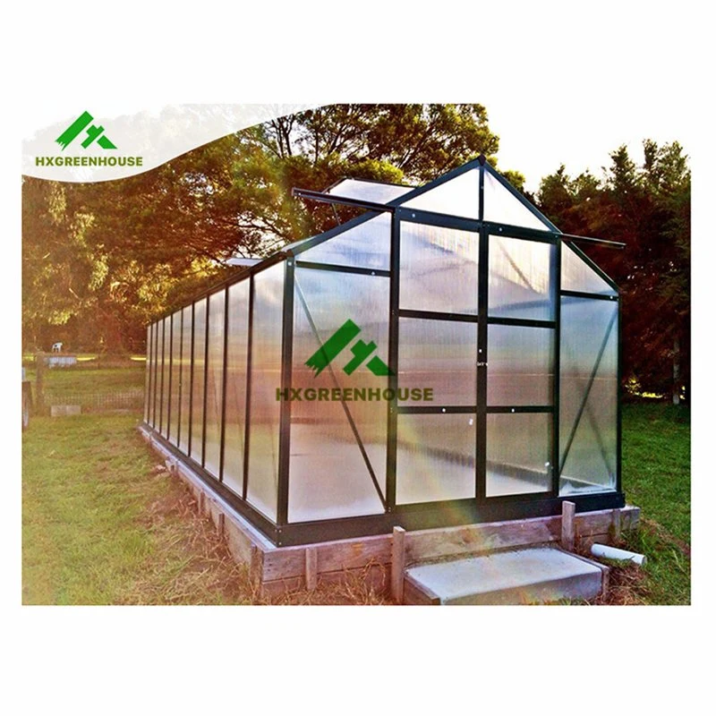 Commercial Used Polycarbonate Mini Small Aluminum Frame Green House