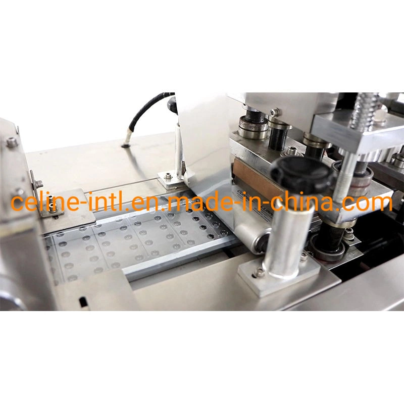 Dpb-80 Small Mini Tablet Capsule PVC Alu Automatic Blister Packing Machine for Medicine