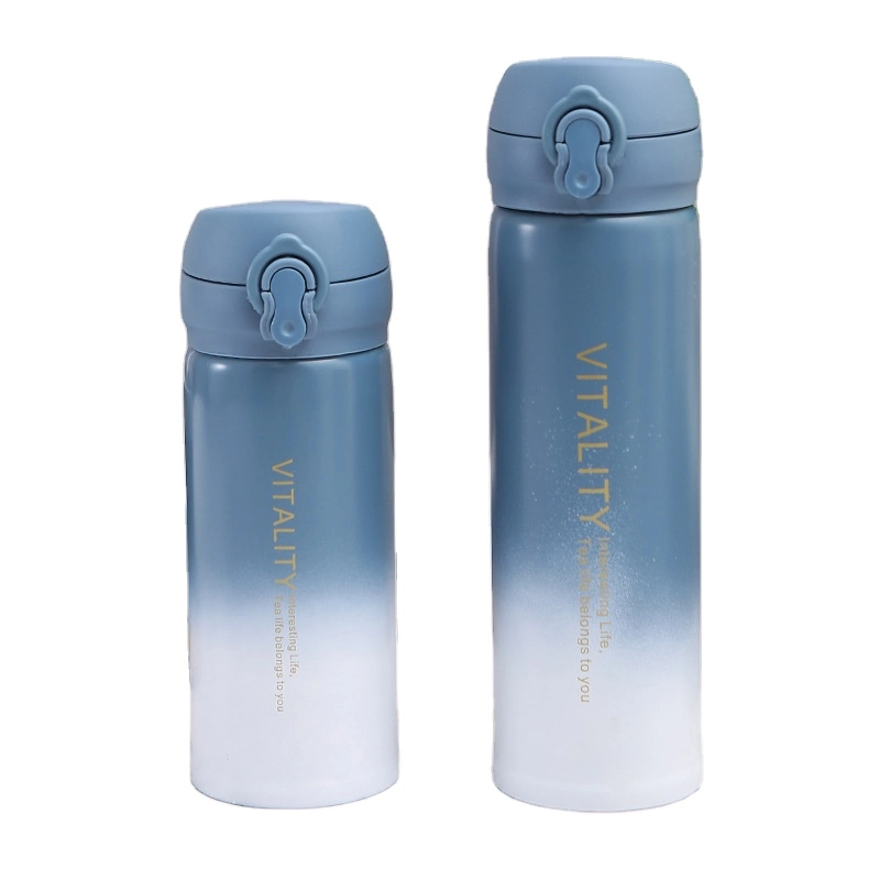 Wholesale Water Bottle BPA Free Stainless Steel Vacuum Insulated Flask