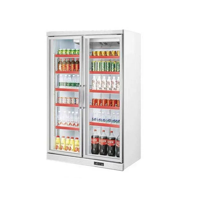 Commercial Glass Door Vertical Ice-Cream Freezer