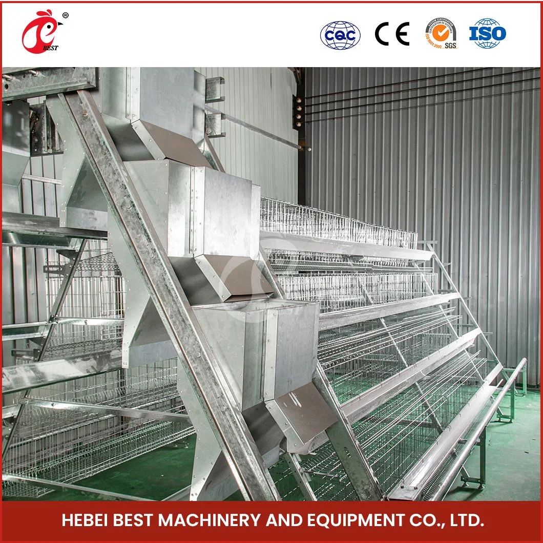 Bestchickencage a Type Layer Cage China Hot Sale Chicken Trap Layer Cage Supplier Custom Save Space and Food Automatic Layer Coop Configuration Chicken Coop Kit