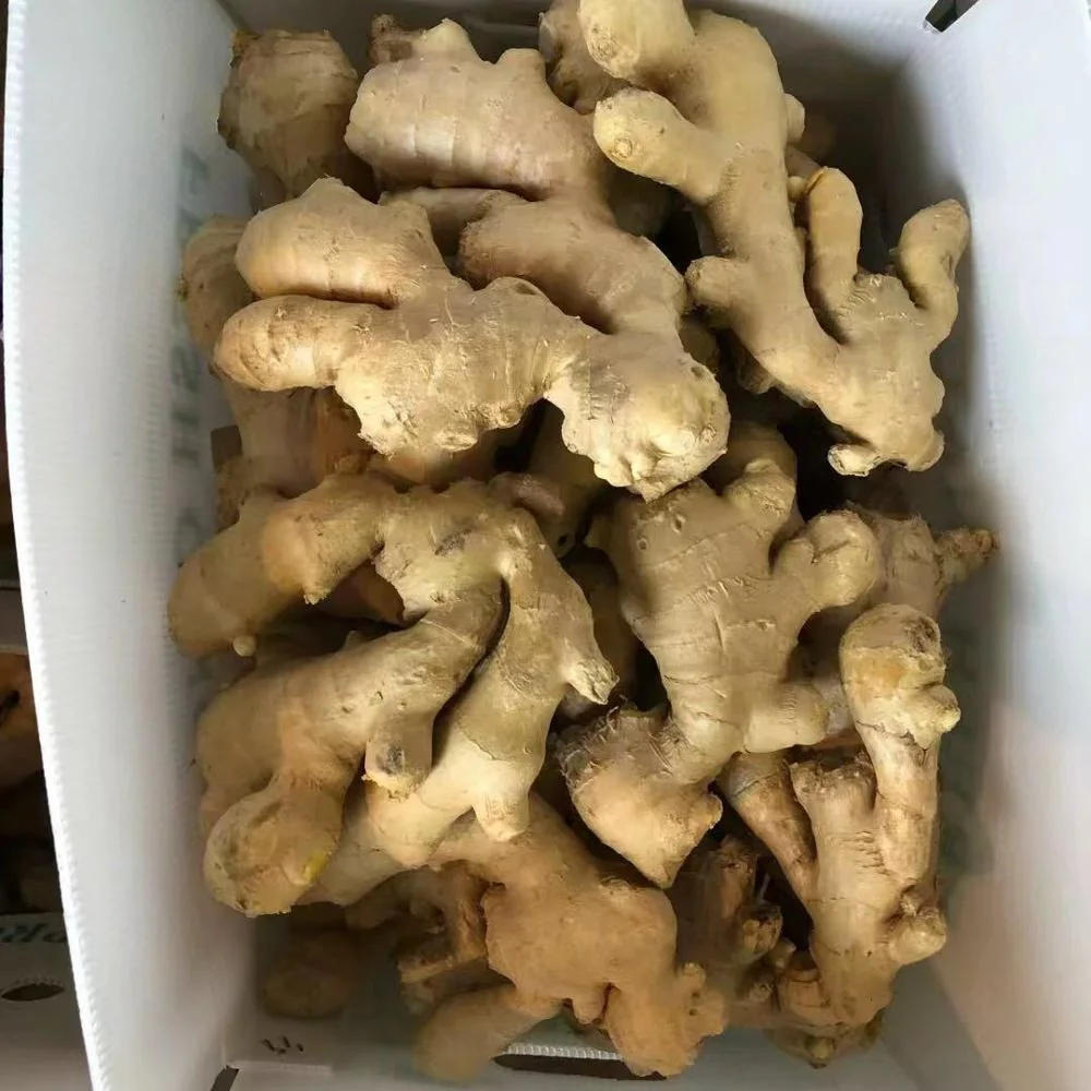 High quality/High cost performance  Dried Ginger Market Price