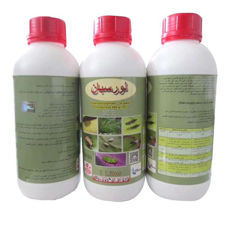 King Quenson High Effective Pesticide Insecticide 97% Tc Chlorpyrifos 25% Wp