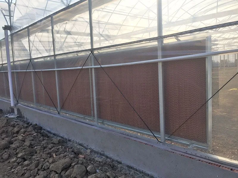 High quality/High cost performance  Custom Poly Tunnel Multi Span Galvanized Steel Tube Frame Green House