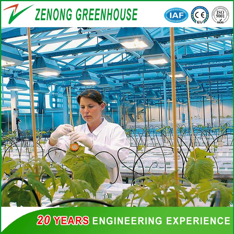 Agriculture Venlo Type PC Greenhouse for Exhibition/Eco Restaurant/Experiment