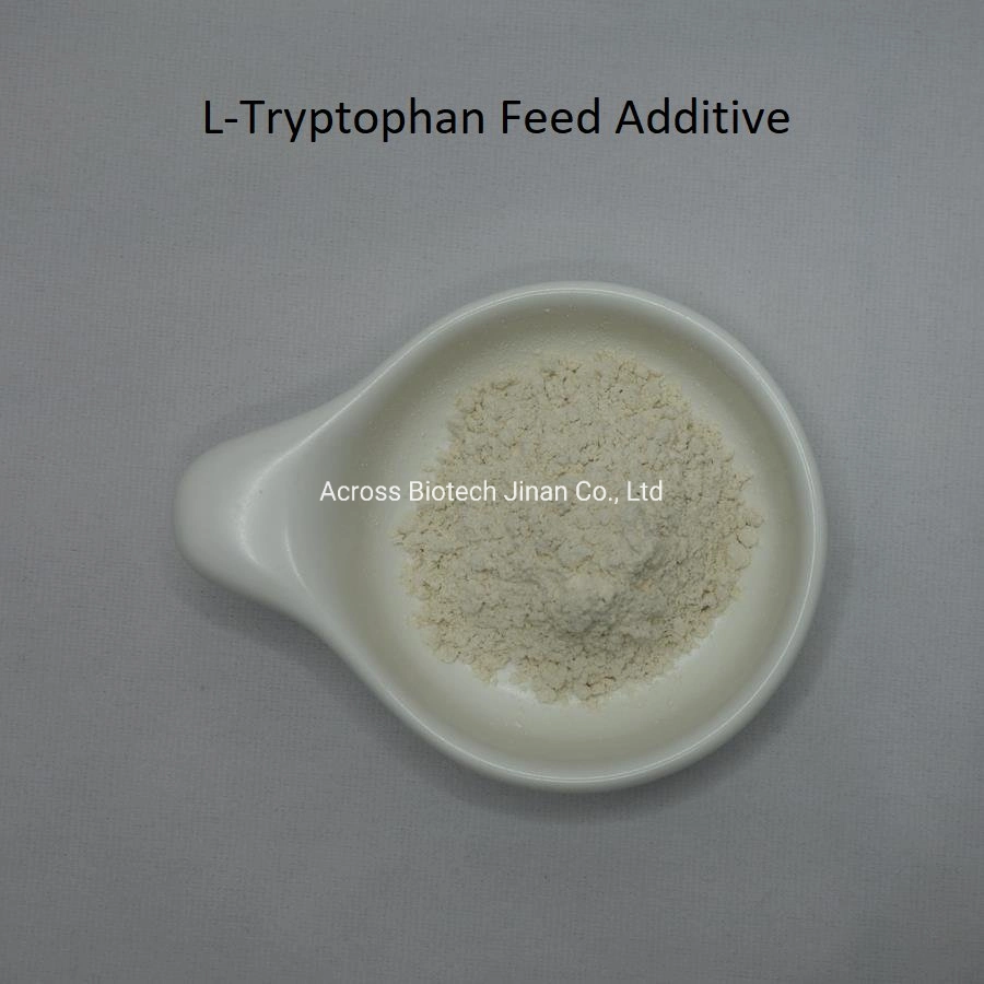 الجملة 98 ٪ L-Tryptophan تغذية الدرجة