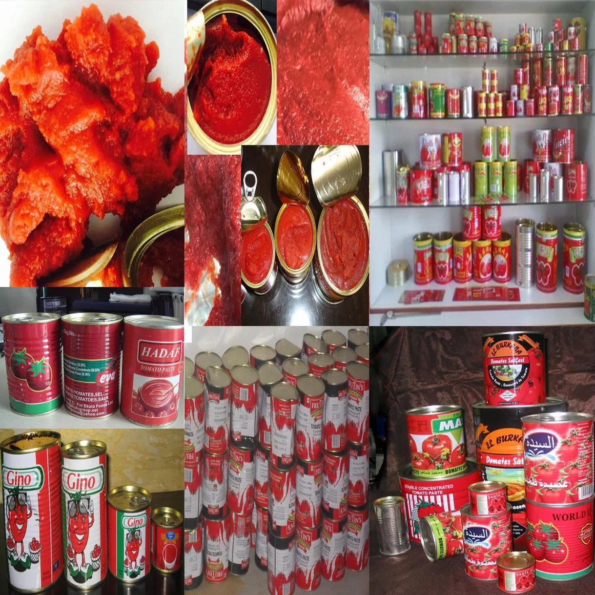 Tomato Paste in Drum / Tomato Paste 28-30% in Aseptic Bag/ Tomato Paste Brix 36-38% in Steel Drum/Tomato Paste Brix 30-32% in Barrel