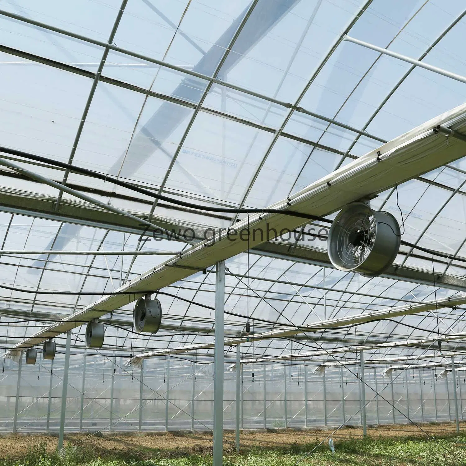 Multi Span Tunnel Greenhouses with Hydroponic System for Growing Vegetables and Fruits