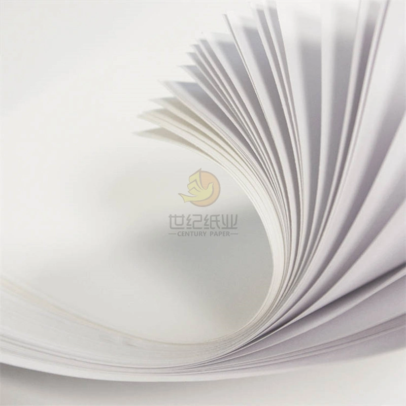 Paper Color Offset Print Paper