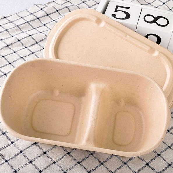 Food Grade Rectangular Bagasse Food Container Disposable Takeaway Packaging Box Fast Food Box Fruit Snack Lunch Box