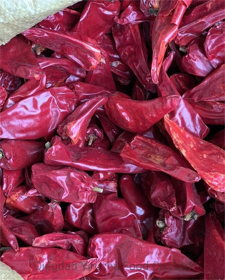 La Chine Piment rouge sec pour les importateurs de Chili