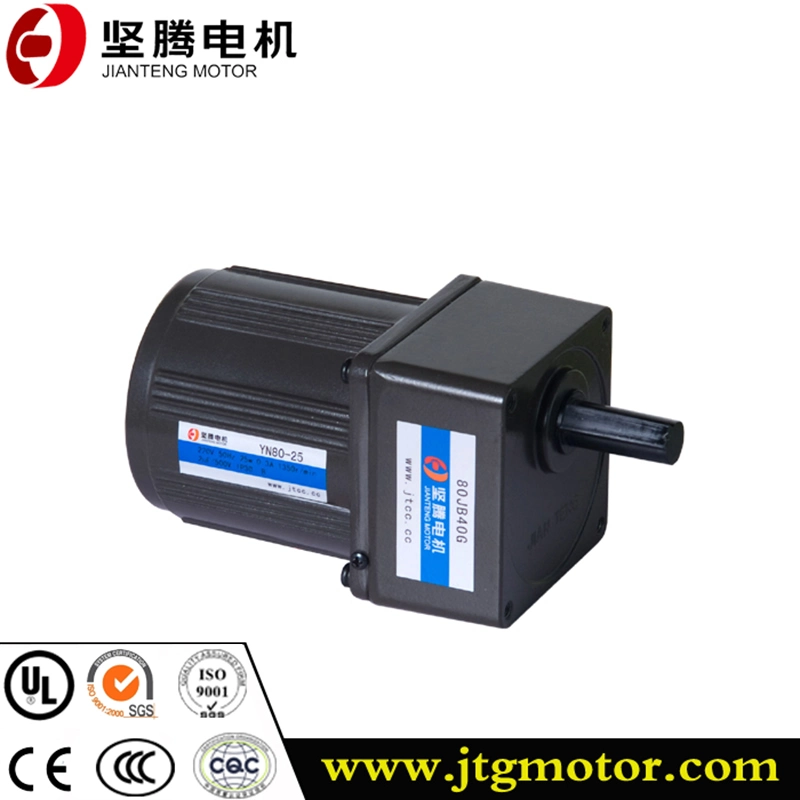 Professional and Efficient 10W-200W AC Gear Motor Electrical Motor Induction Motor for Power Transmission