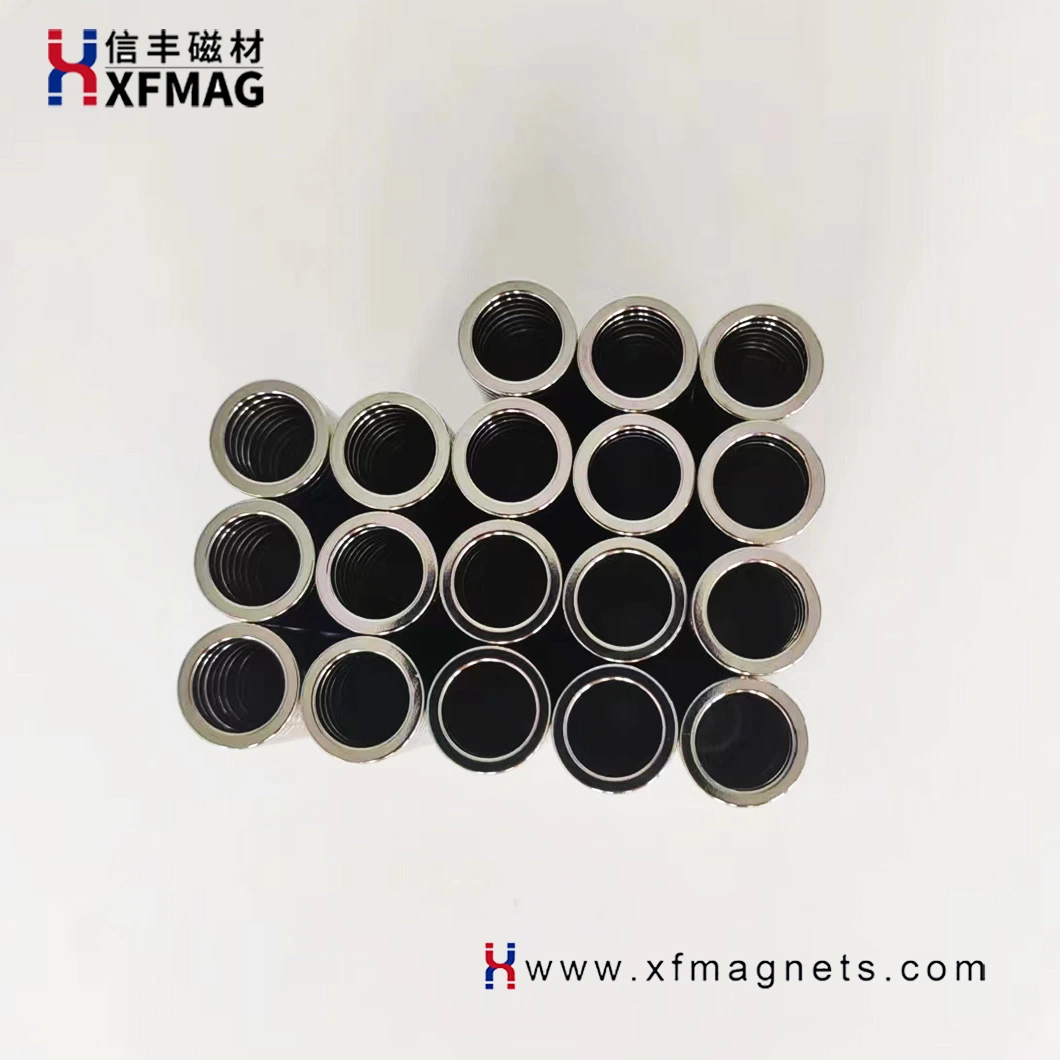 Top-Quality NdFeB Rare Earth Rubber Magnetic Ring Magnet for Servo Motor