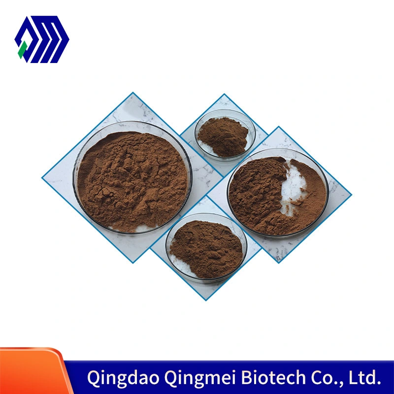 Factory Supply Sparassis Crispa Extract Powder Polysaccharides10%-50%