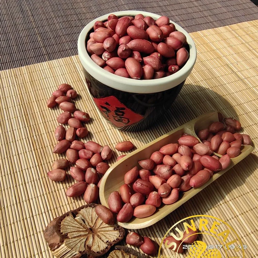 Roasted Peanut Kernels with Skin/Red Skin/Leisure Snacks/Superior Products