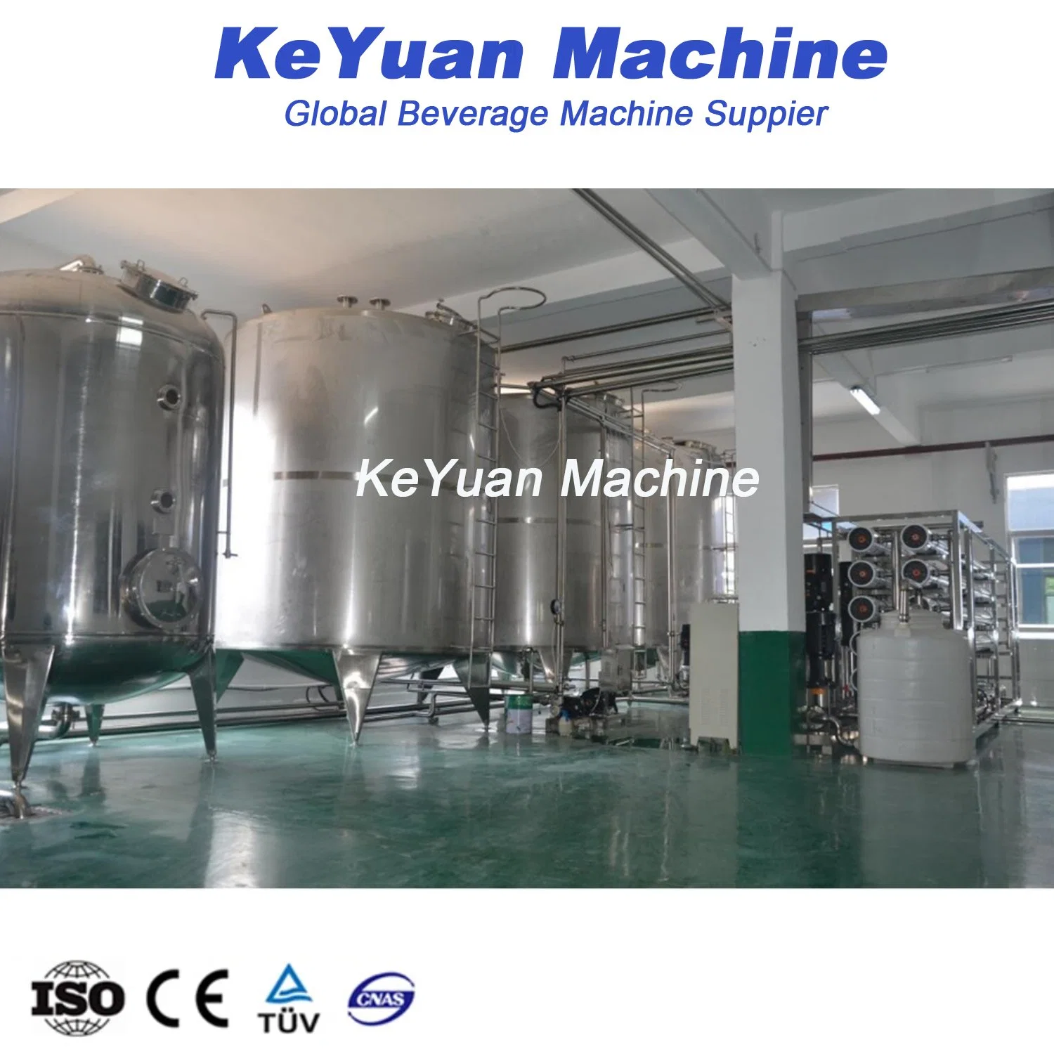 Low TDS Ultra Pure Water Reverse Osmosis Equipment Two Stages RO EDI System Manufacturers Directly for Pharmaceutical Chemical Water